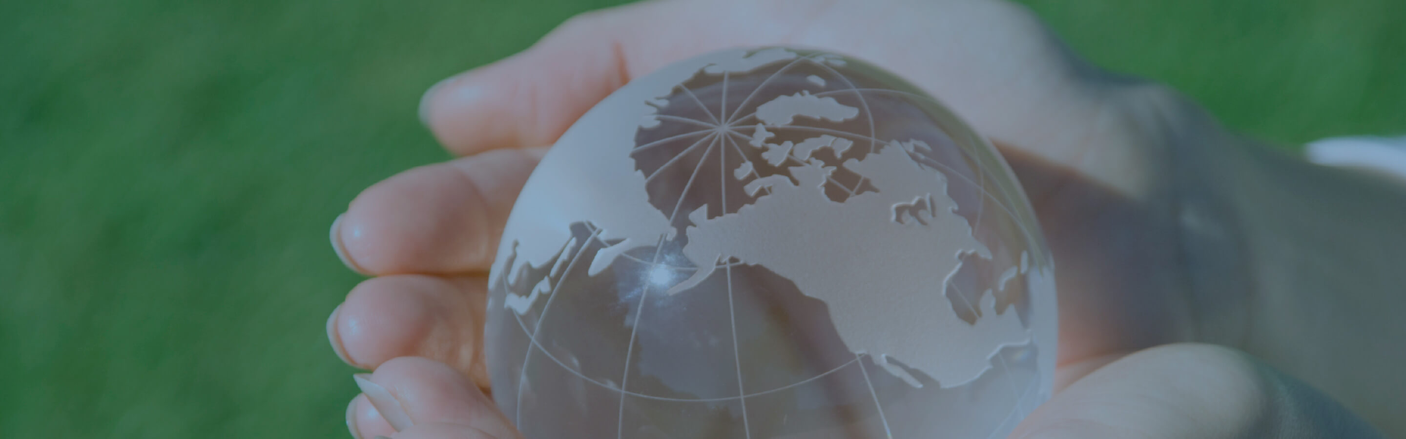 地球の模型の画像